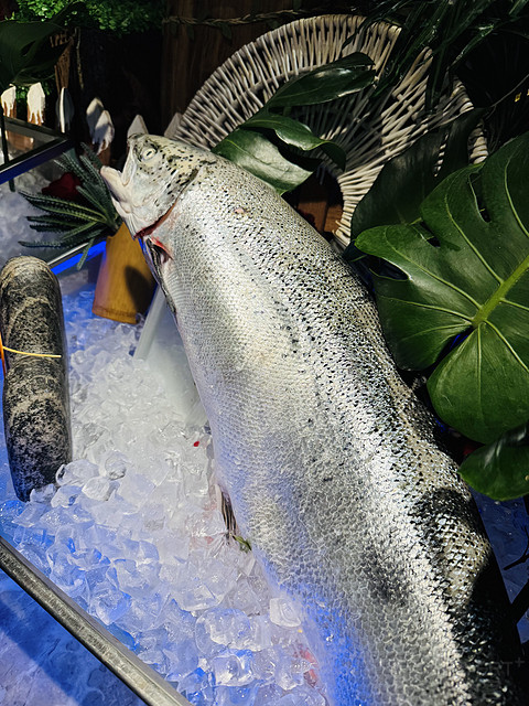 环境优美性价比高！青岛东方影都希尔顿逸林酒店