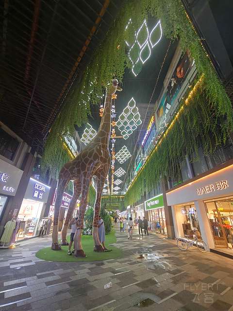 南宁美豪丽致（金阳店）-亲子商务也相宜