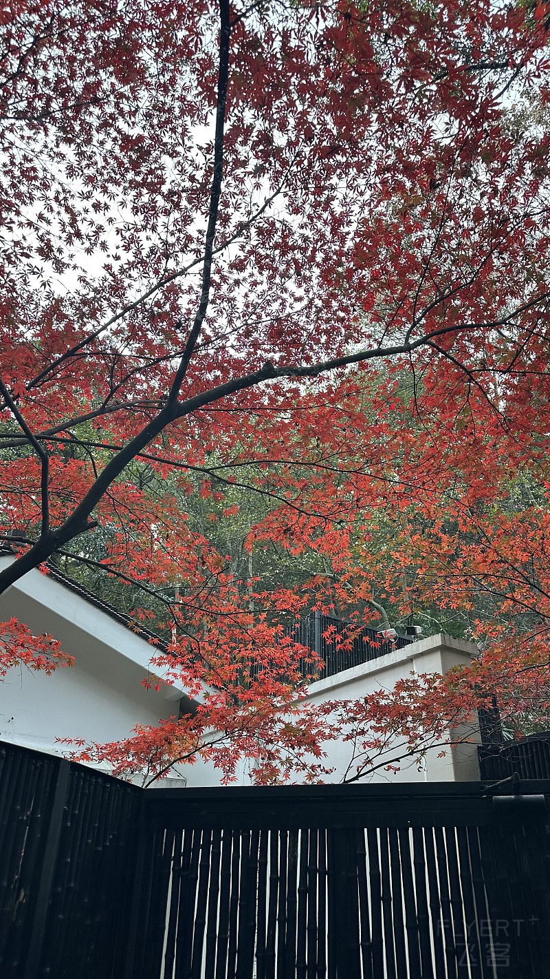 121246XVYODTNCJHJEYKVX.png 121246XVYODTNCJHJEYKVX.png