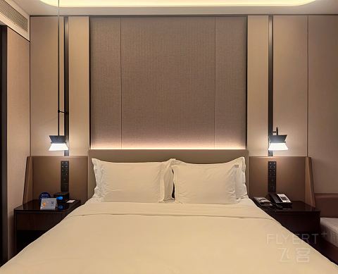 摩登商旅萌象憨态可掬，郑州高新皇冠假日酒店报告