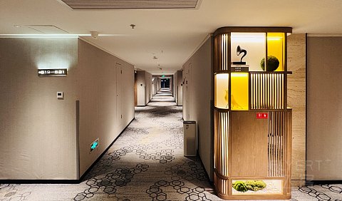 沃可芯•西关情|广州十甫Voco酒店单卧套房入住体验