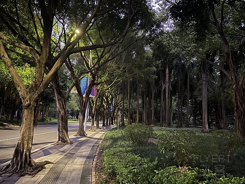 没有小车的远机位登机｜ZH9167南宁北京，深航改舱公务舱初体验