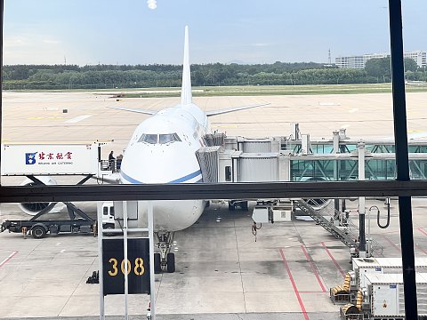 人人都爱747｜CA1519：北京首都-上海虹桥，一年一度的鹅头见面会