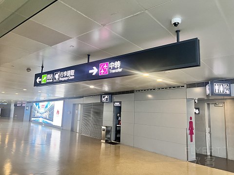 人人都爱747｜CA1519：北京首都-上海虹桥，一年一度的鹅头见面会