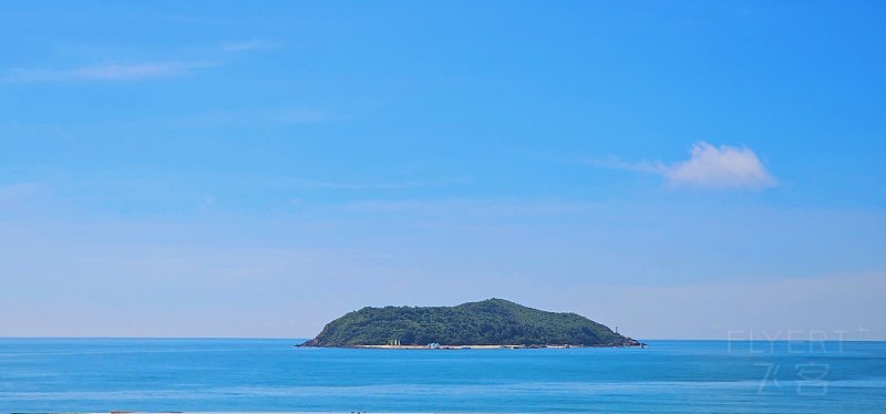 161335SHVyFq7MgvQJJCcM.jpg