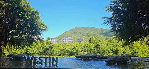 海岛之秋—石梅湾威斯汀度假酒店🏨