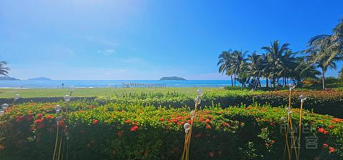 海岛之秋—石梅湾威斯汀度假酒店🏨