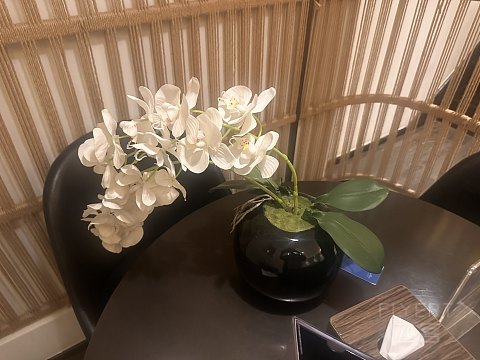 很不错的丽江温德姆至尊豪廷别墅