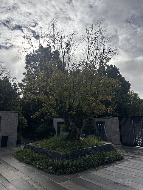 很不错的丽江温德姆至尊豪廷别墅