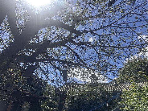 很不错的丽江温德姆至尊豪廷别墅