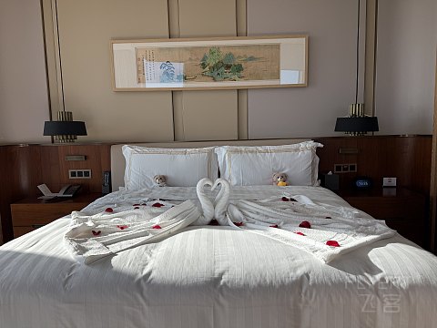狠狠薅了一把羊毛| 厦门康莱德酒店豪华海景套房