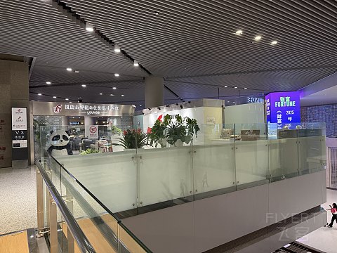 一波三折的SHA-CAN，送走米娜迎来桦加沙-国航取消到延误改签体验凌晨飞[by上海小医生]