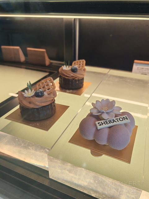 山海连登：有观景大堂吧的北海喜来登度假酒店