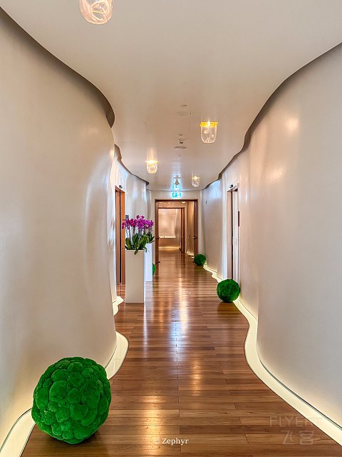 沙漠绿洲中的金属森林｜多哈悦榕庄酒店 Banyan Tree Doha