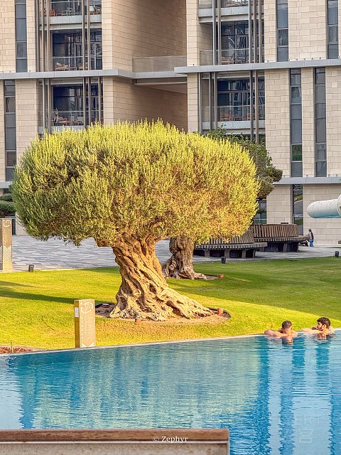 沙漠绿洲中的金属森林｜多哈悦榕庄酒店 Banyan Tree Doha