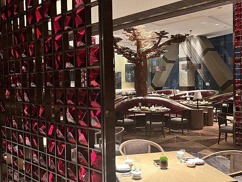 長安歸故里--西安君悅酒店