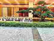 ̨ľͣ麣<em></em>Ƶ<em></em>׷̳׷