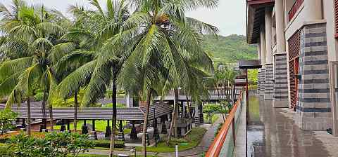 爱在优美海岸线—石梅湾艾美度假酒店🏨