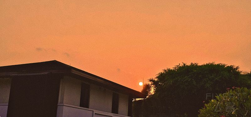 1617372PktpuG8LgKBVn3e.jpg