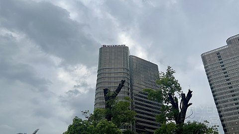 标准万豪，价格洼地|厦门泰地万豪酒店真实测评