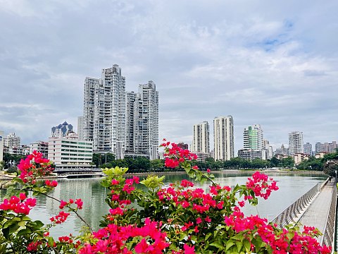 标准万豪，价格洼地|厦门泰地万豪酒店真实测评