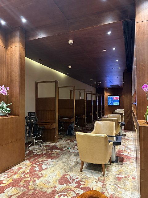 飞客首发🇨🇳🇨🇳瑞金机场🇨🇳🇨🇳