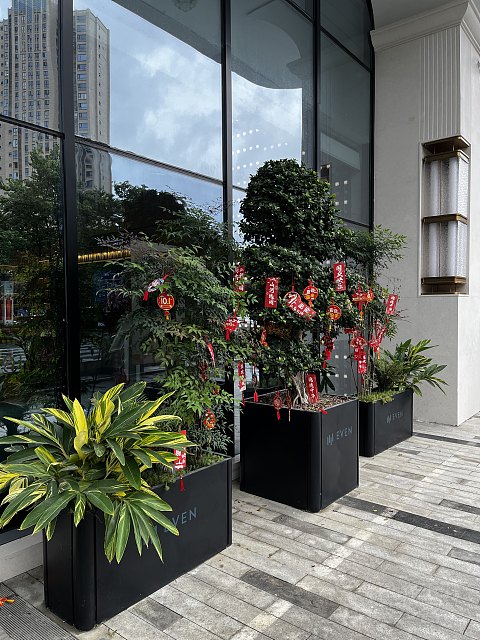 #踏秋而行#【成都高新逸衡酒店】一揽子的小确幸，锦官城中逸起来