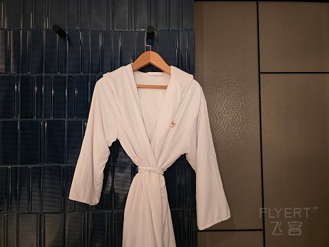 乐高之门｜上海缤纷里希尔顿嘉悦里酒店多房型攻略