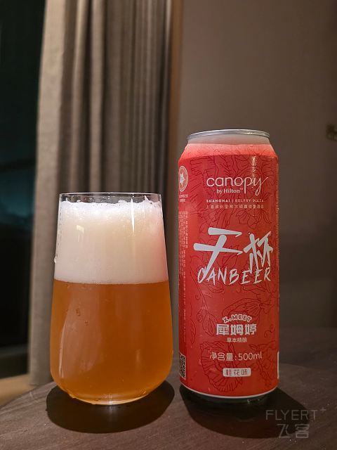 乐高之门｜上海缤纷里希尔顿嘉悦里酒店多房型攻略