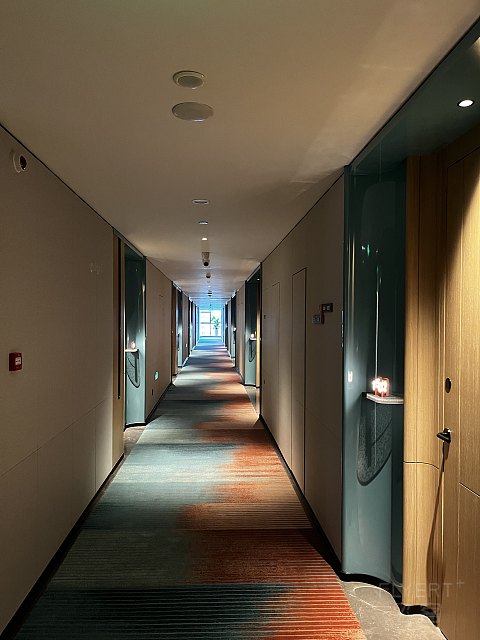 #踏秋而行#【成都高新逸衡酒店】一揽子的小确幸，锦官城中逸起来