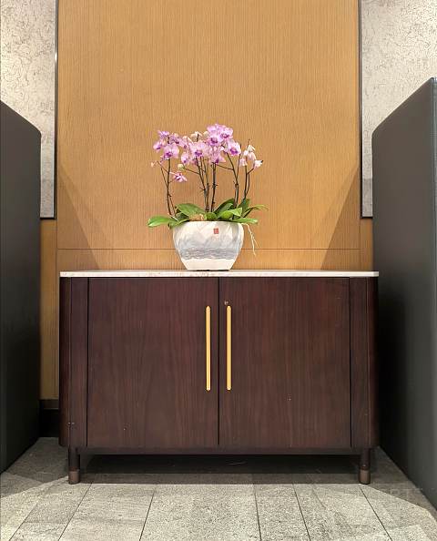 携伴政策严格0206险翻车，青岛胶东国际机场环亚V1报告