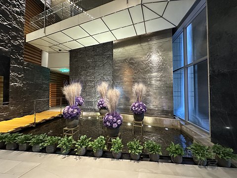 宝刀未老 绿意盎然 珠江新城顶流 | 广州富力君悦 君悦套房