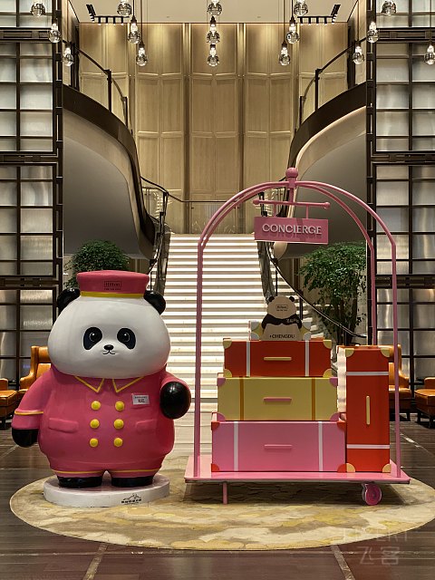 遇见非遗，花式希遇｜成都协信中心希尔顿酒店｜行政套房