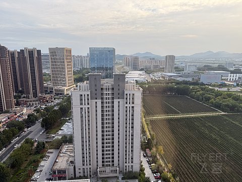 国庆前夕［青岛］［烟台］希尔顿系不完全指北