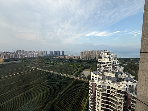 国庆前夕［青岛］［烟台］希尔顿系不完全指北