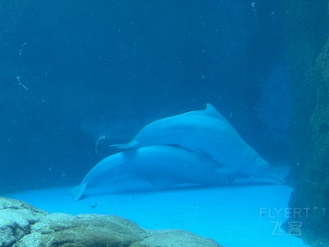 珠海瑞吉 沿路旅程如歌蜕变