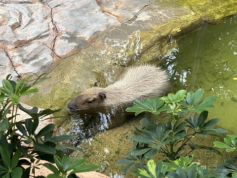 珠海瑞吉 沿路旅程如歌蜕变