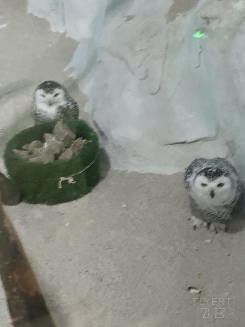 珠海瑞吉 沿路旅程如歌蜕变