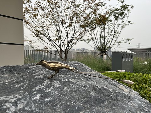 【房型首发】北京环球影城隔壁的高性价比新选——通州皇冠假日酒店单卧套房入住报告