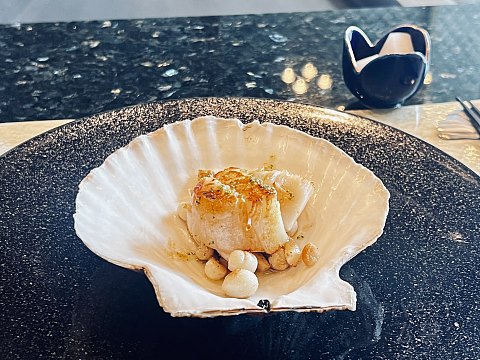 人道此处花似锦，偏我来时不逢春 | JW Marriott Changsha