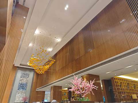 国庆厚道依旧 | 河源希尔顿逸林行政套房入住报告