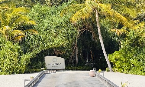 果冻海•耀珍珠|马尔代夫米莱度岛度假酒店(Milaidhoo Maldives)泳池水屋及沙屋全体验