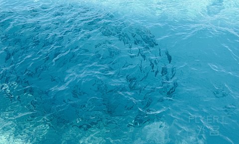 果冻海•耀珍珠|马尔代夫米莱度岛度假酒店(Milaidhoo Maldives)泳池水屋及沙屋全体验