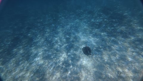 马尔代夫艾美大使入住体验 | 3种房型全方位测评