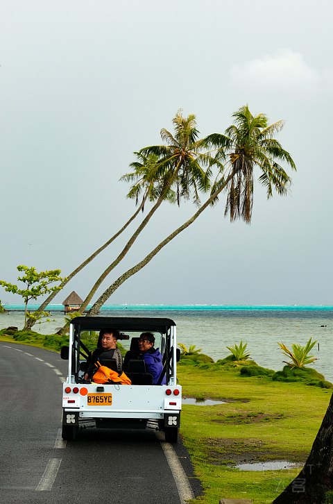 首发？大溪地Bora bora westin积分房5晚攻略