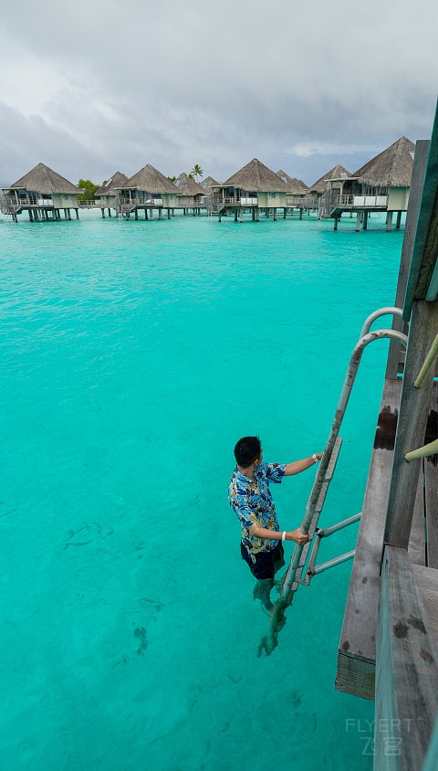 首发？大溪地Bora bora westin积分房5晚攻略