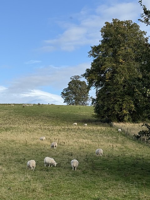 UK｜凯悦罗克斯堡酒店 Schloss Roxburghe Kelso