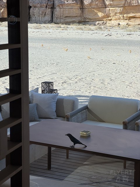 埃尔奥拉悦榕庄 Banyan Tree AlUla