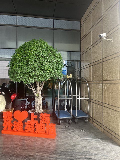 两大一小｜国庆｜上海外滩英迪格（升套）