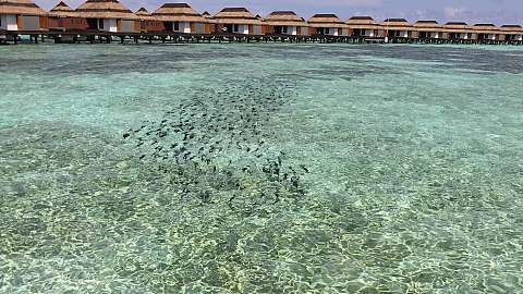 性价比高的热带天堂 - 马尔代夫铂尔曼一价全包度假村 Pullman Maamutaa Resort